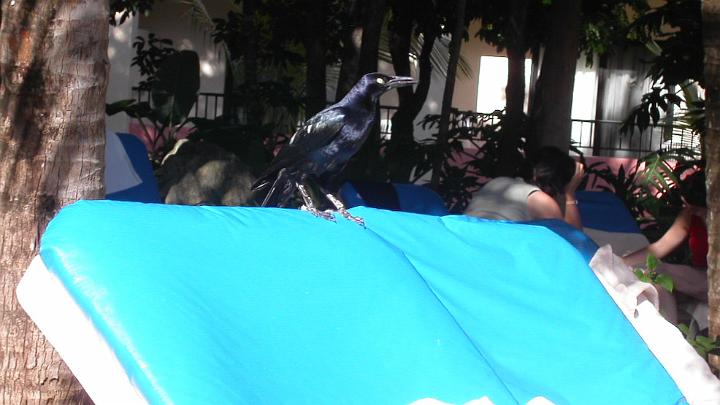 Mexico 2002-59.jpg - MINOLTA DIGITAL CAMERA